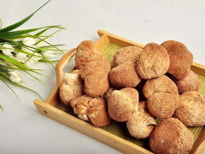 经常吃猴头菇真的养胃吗?